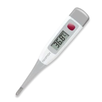 ROSSMAX TG380 THERMOMETER